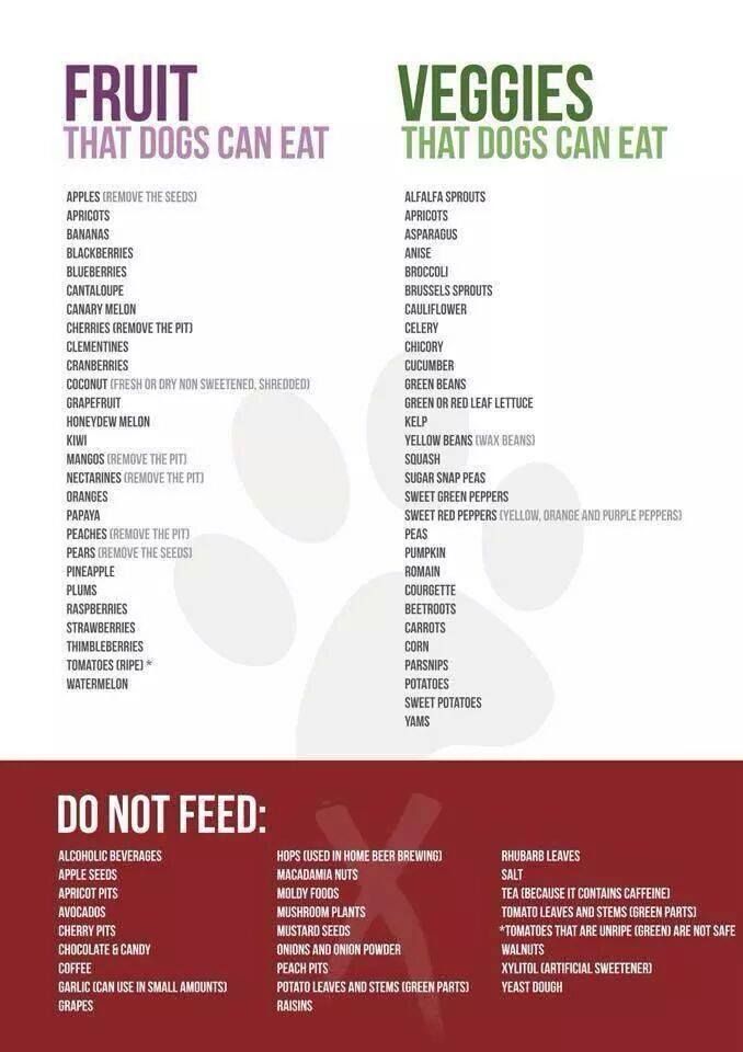 Helpful list of foods that dogs can/can