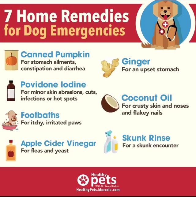 Home remedies for dogs