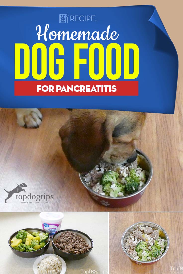 Homemade Dog Food for Pancreatitis Recipe [helps to manage ...