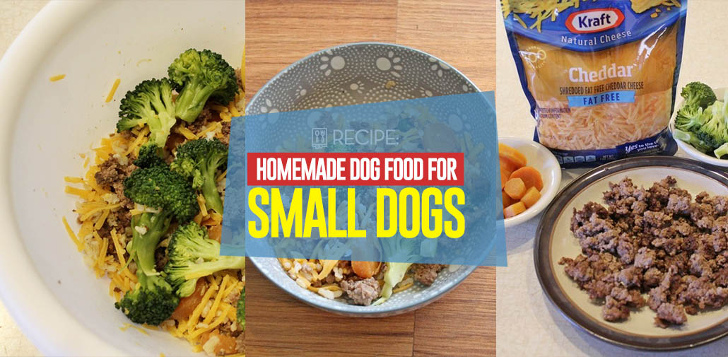 Homemade Dog Food for Small Dogs Recipe (Cheap and Easy to ...