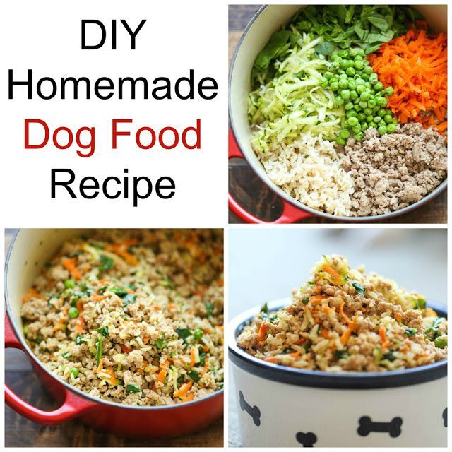 Homemade Dog Food is Healthy and Nutritious