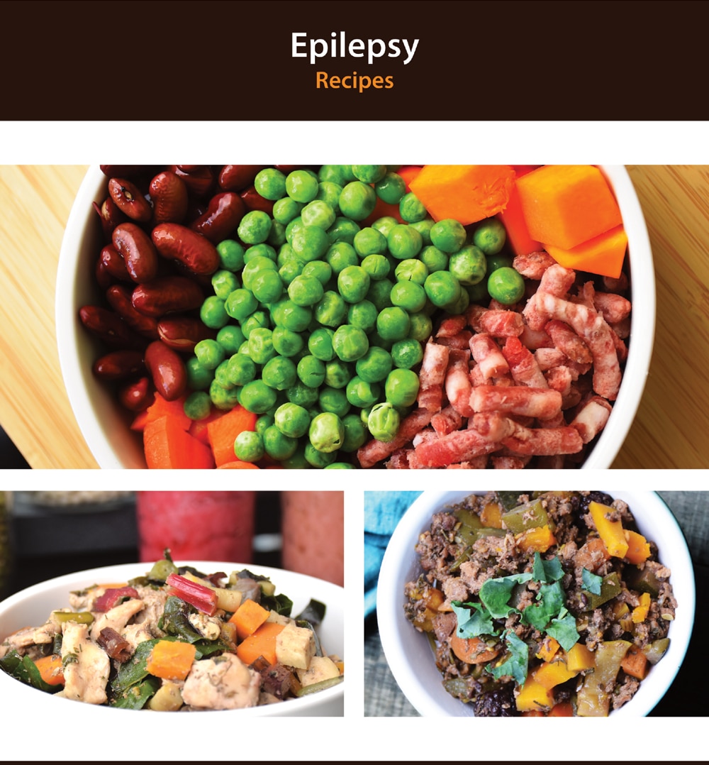 Homemade Dog Food Recipes for Epileptic Dogs