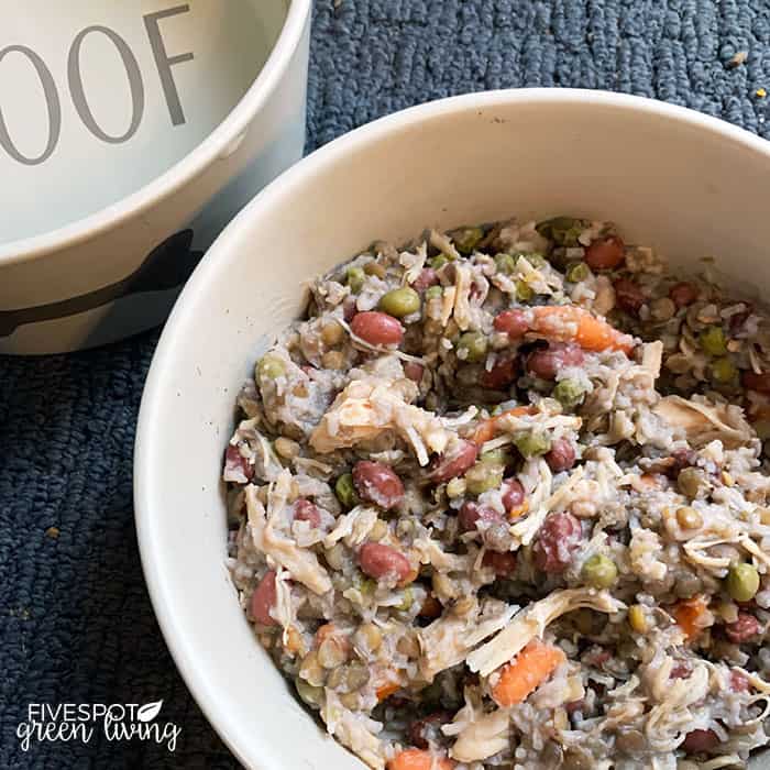 Homemade Dog Food &  Treat Recipes (Vet Approved!) Your Pup Will Love