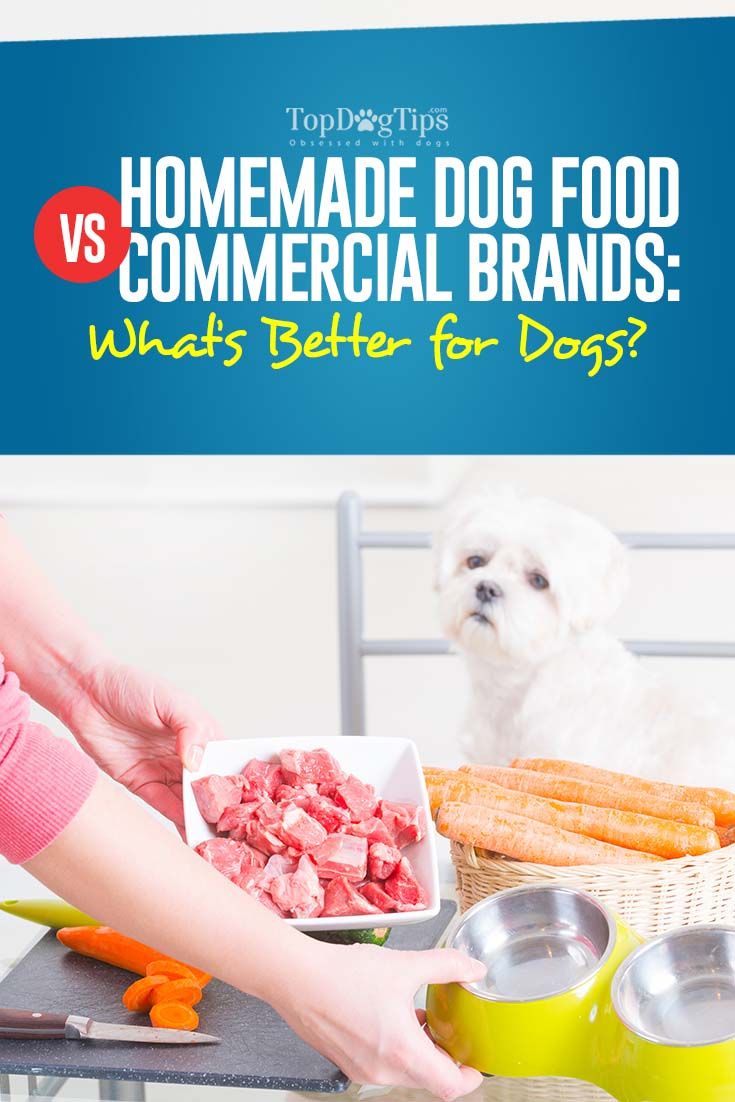 Homemade Dog Food vs Commercial Brands: Which Is Better ...