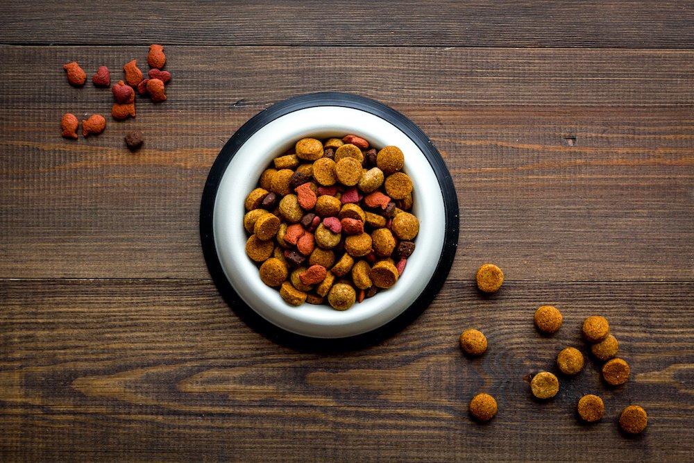 How Long Is Dry Dog Food Good For?