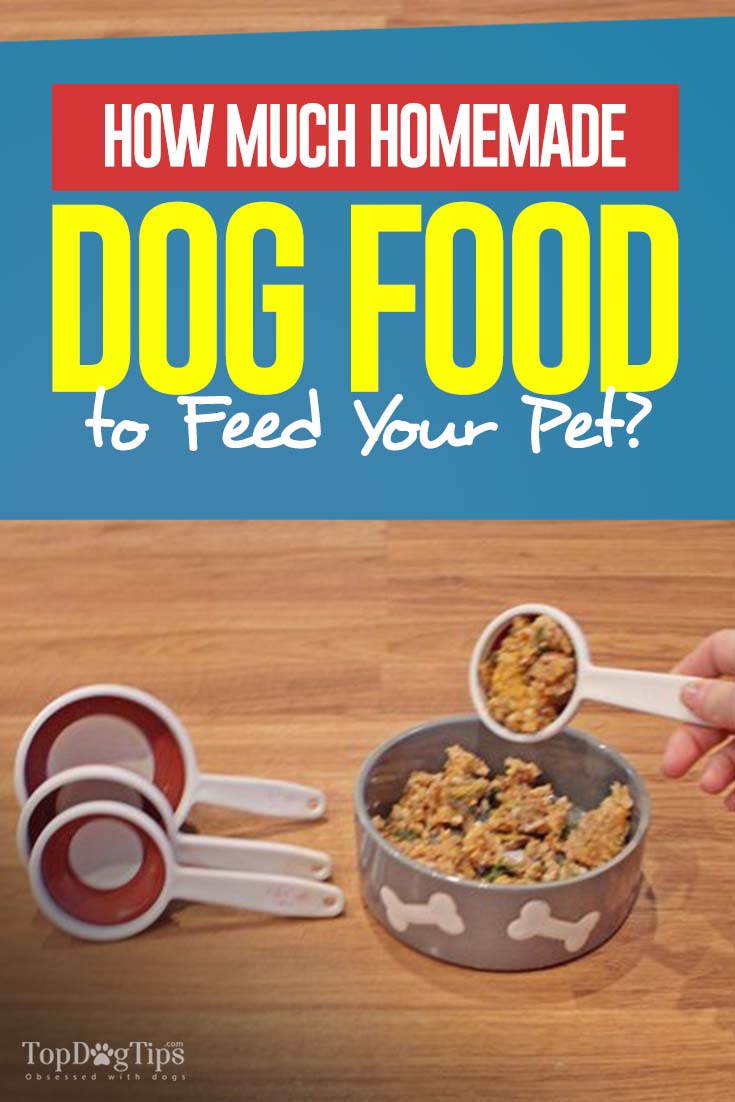 How Much Homemade Dog Food to Feed My Dog