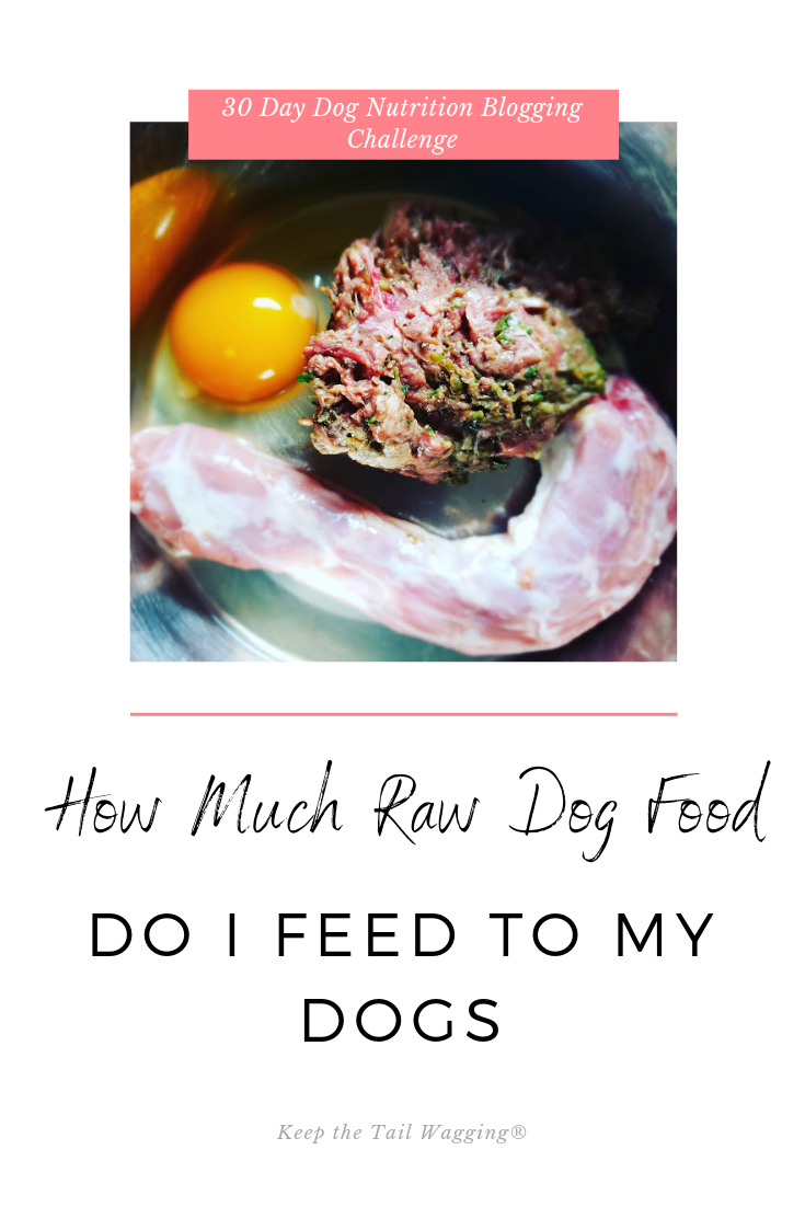 How much raw dog food do I feed to my dogs? We now have 5 ...