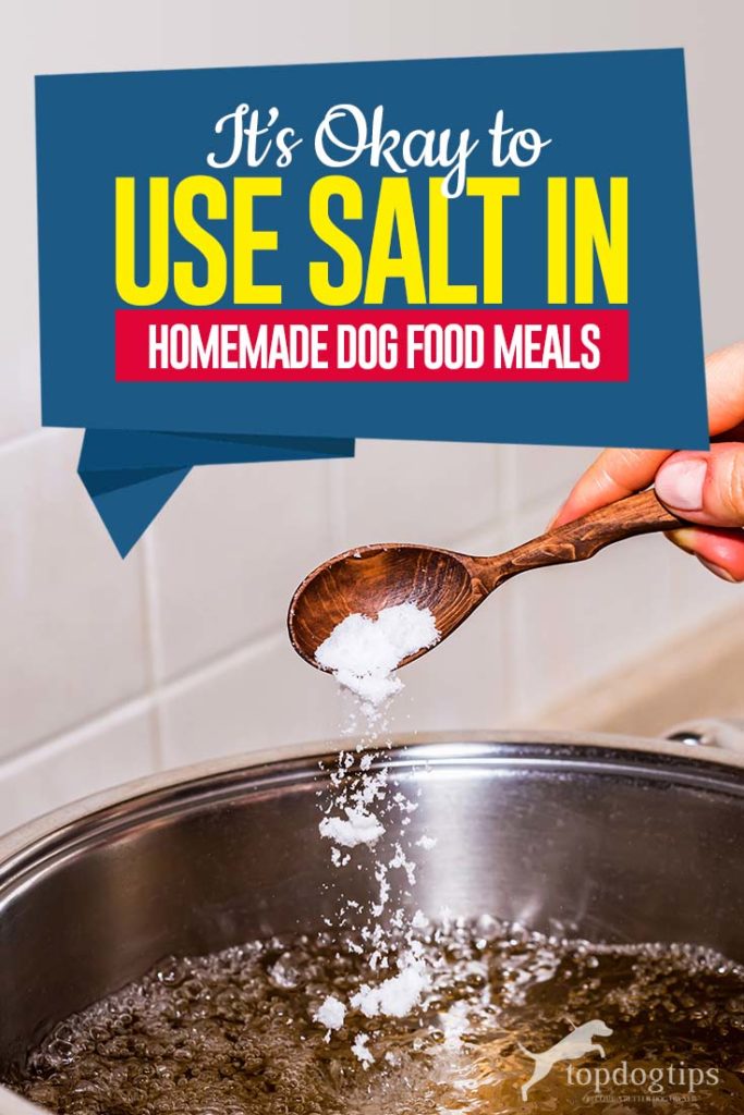 How Much Salt to Add to Homemade Dog Food Recipes and What ...