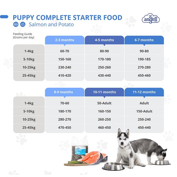 How Much to Feed a Puppy (Chart)