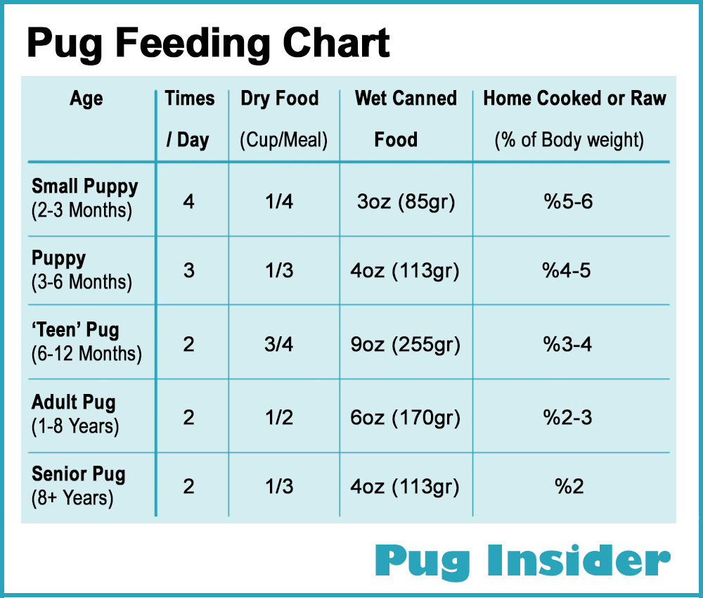 How Much To Feed My Puppy Chart in 2020