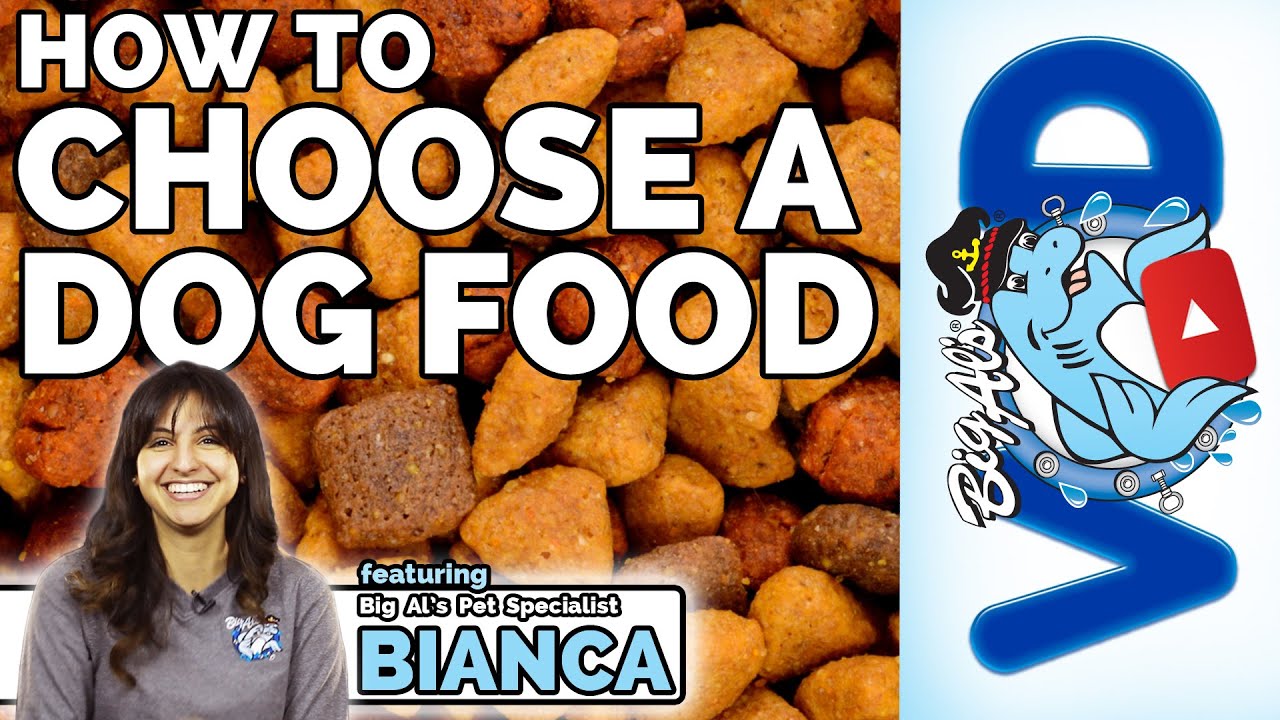 How To Choose a Dog Food