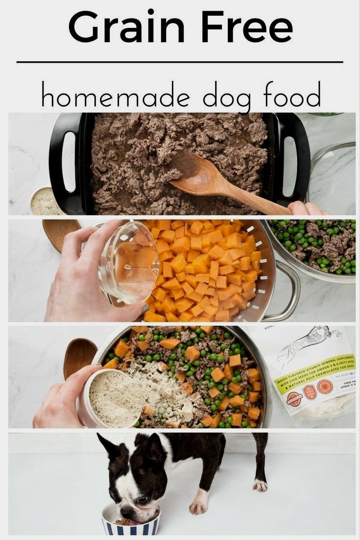 How to Make Homemade Dog Food. Grain free recipe Beef ...