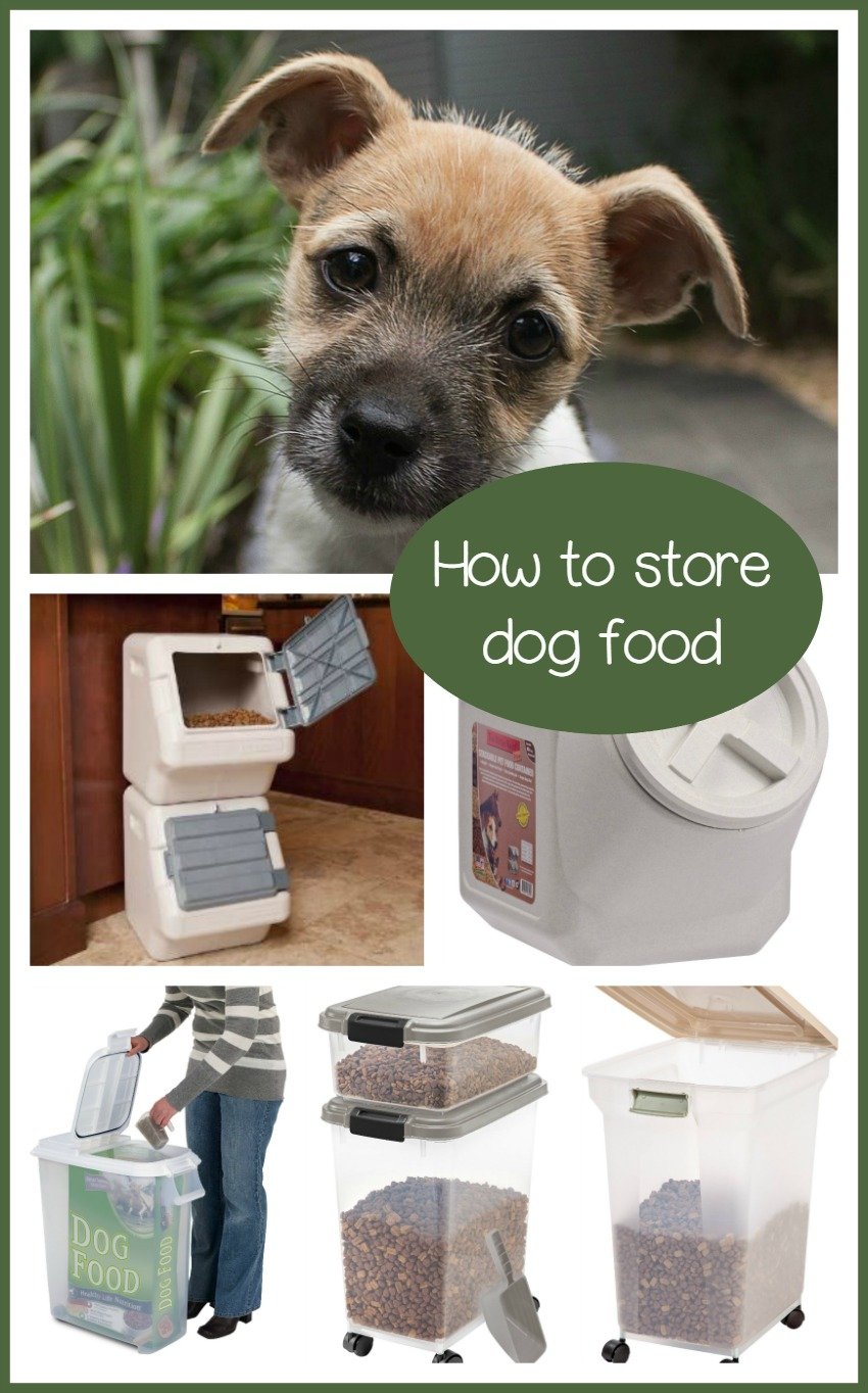 How to Store Dog Food