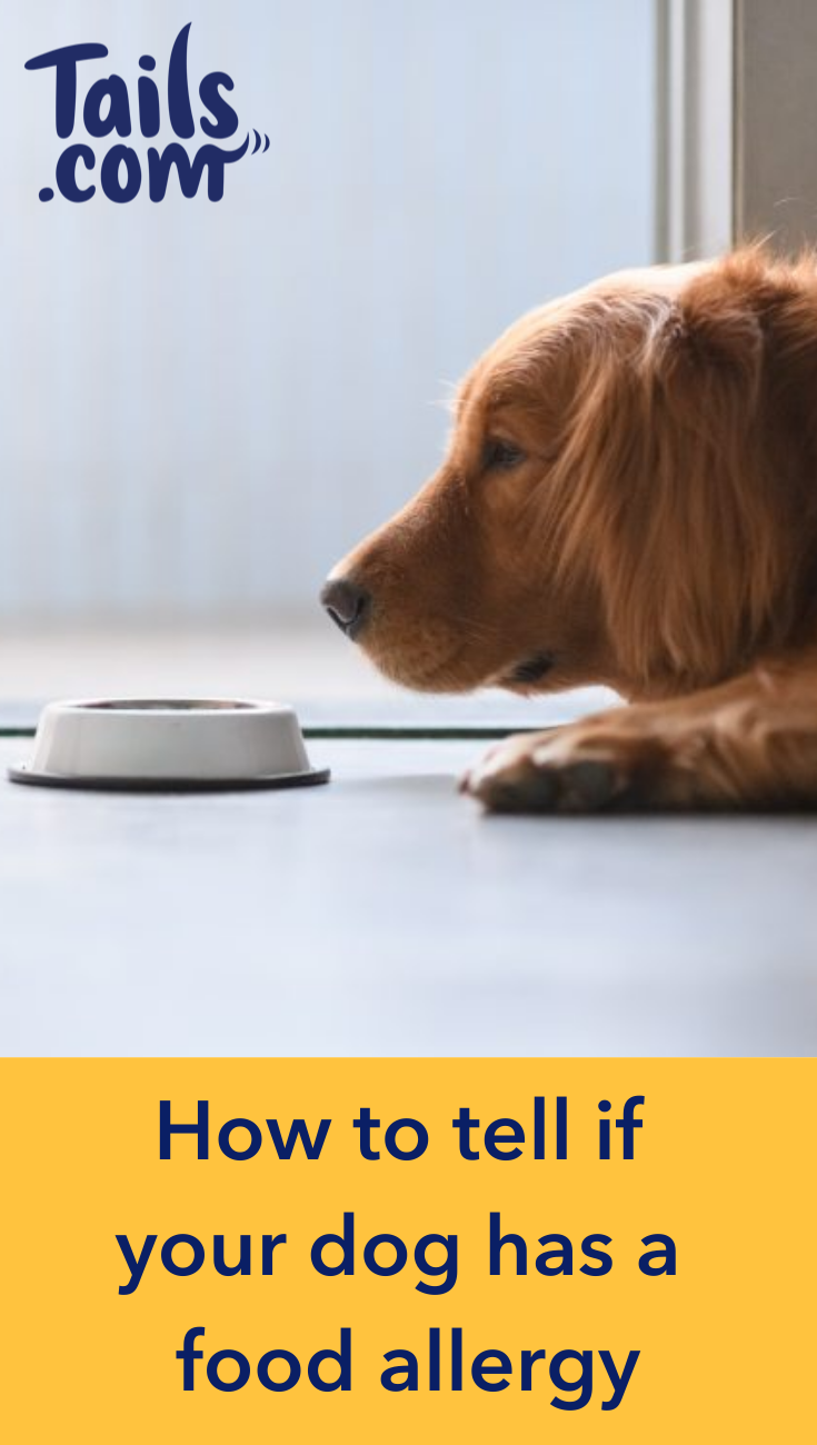 How to tell if your dog has a food allergy