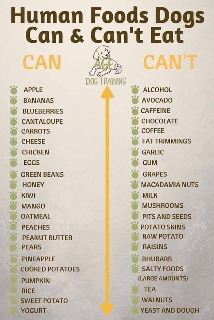 Human Foods Dogs Can &  Canât Eat : coolguides