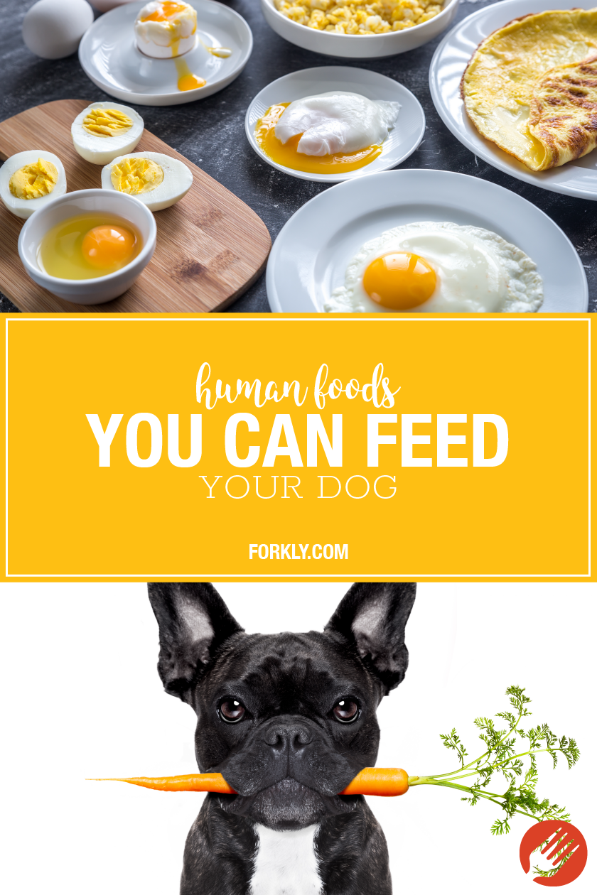 Human Foods You CAN Feed Your Dog