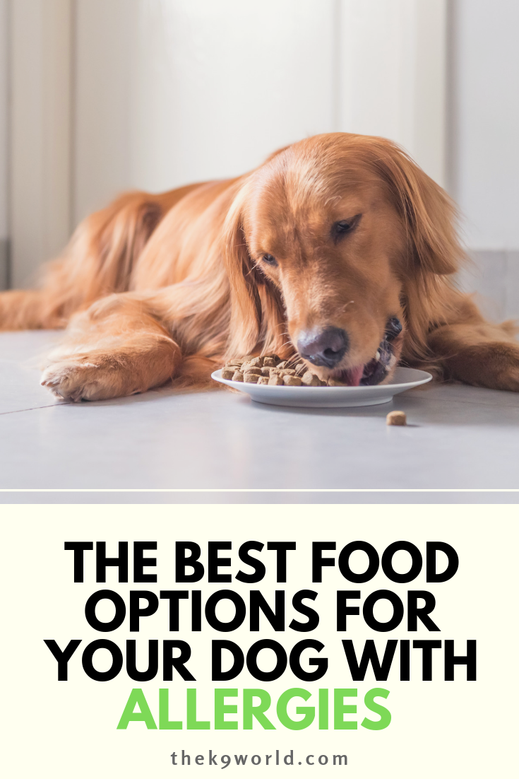 If your dog has symptoms of allergies, your dog food might ...