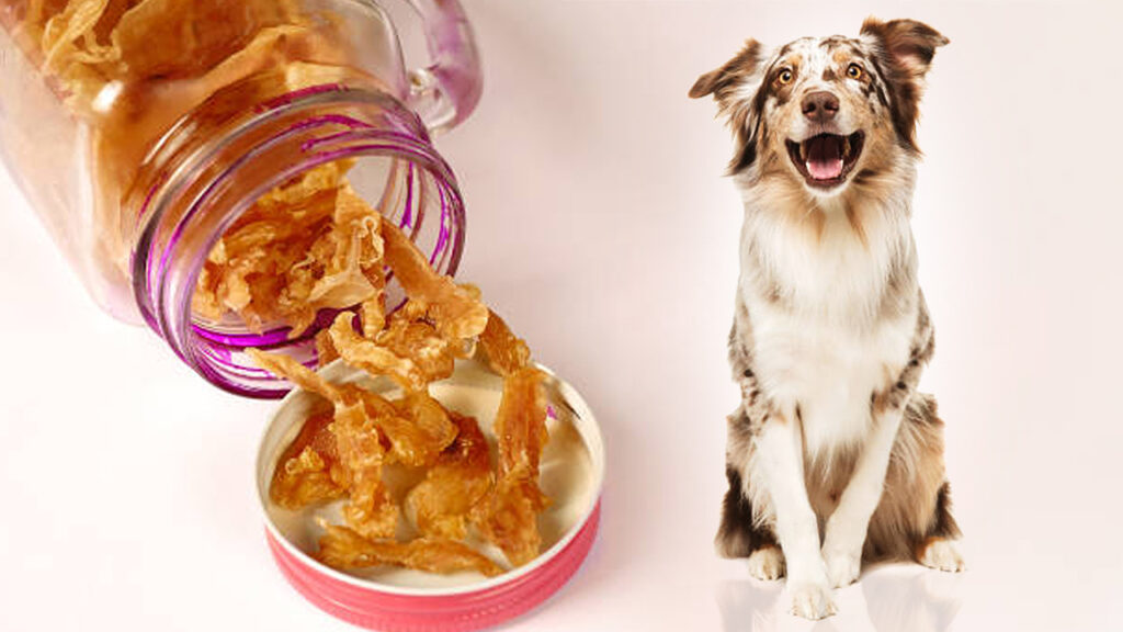 Is boiled chicken breast good for dogs to feed every day?