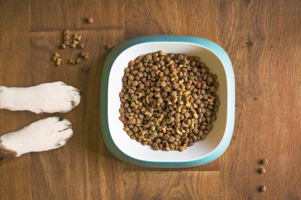 Is It Cheaper to Make Your Own Dog Food?