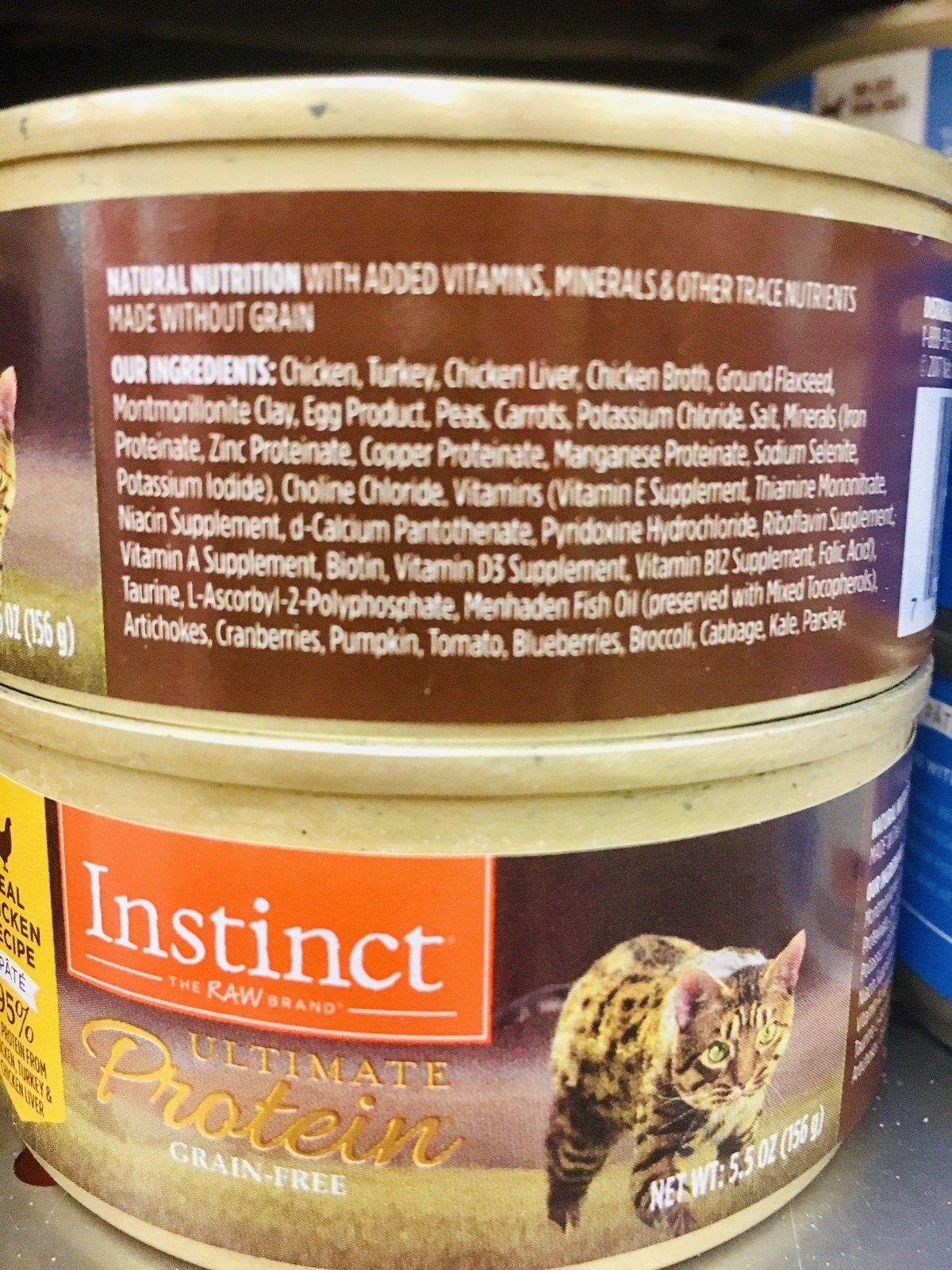 Is Wet Cat Food Bad for Cats? A Closer Look at 27 ...