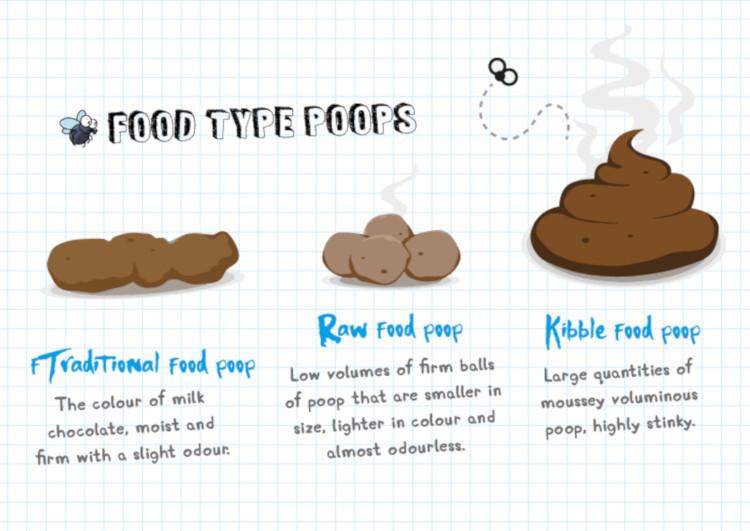 Know your dog better with our healthy dog poop chart ...
