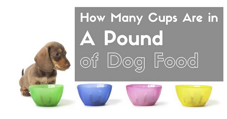 Learning How Many Cups Are in a Pound of Dog Food