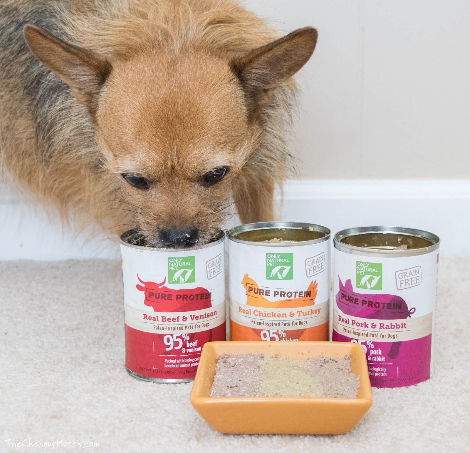 Mini Review: Only Natural Pet Pure Protein Canned Dog Food