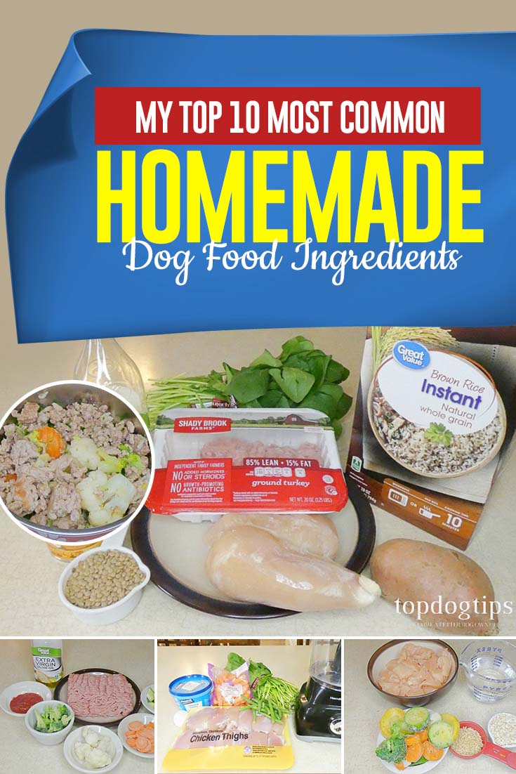 My Top 10 Most Common Homemade Dog Food Ingredients