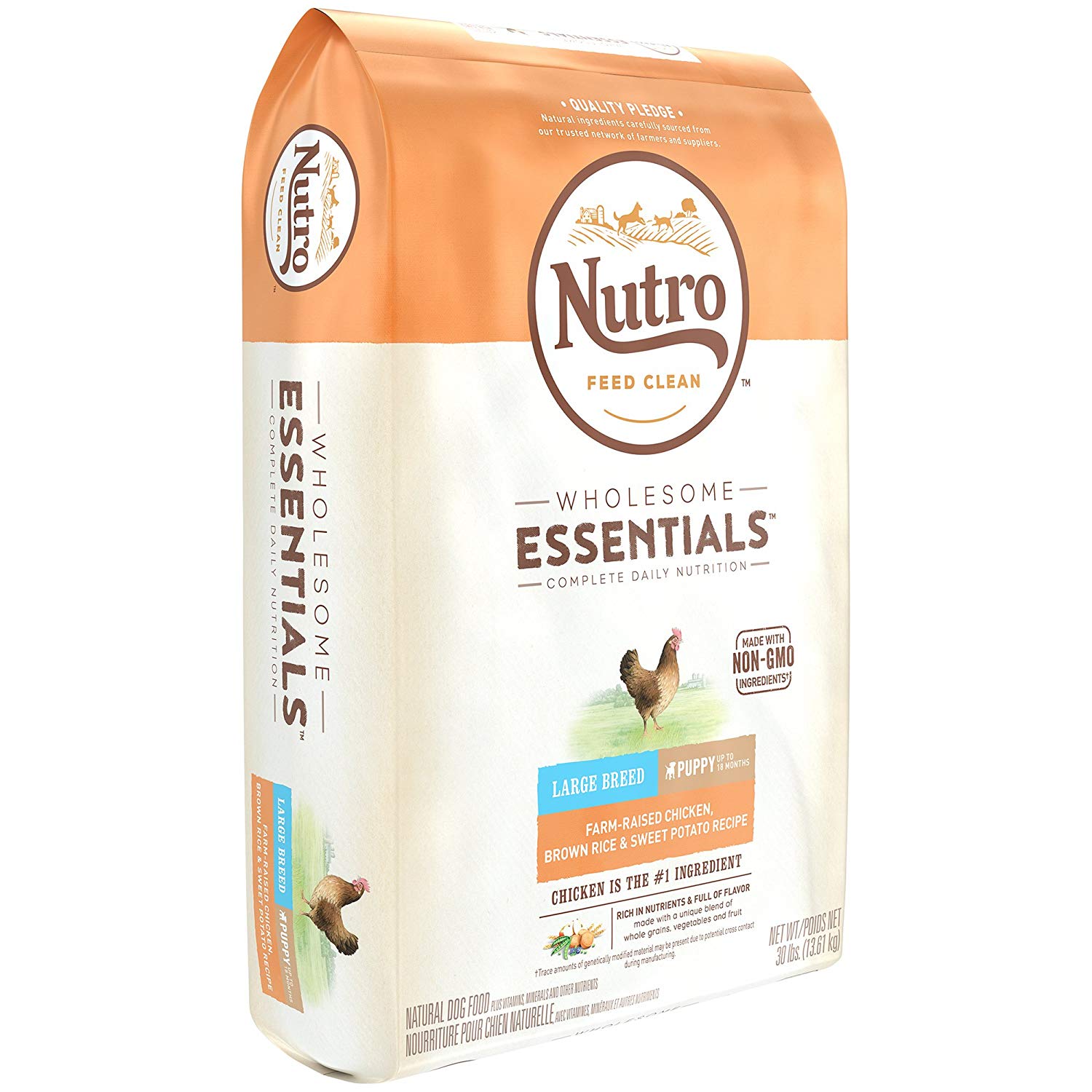 Nutro Wholesome Essentials Puppy Dry Dog Food