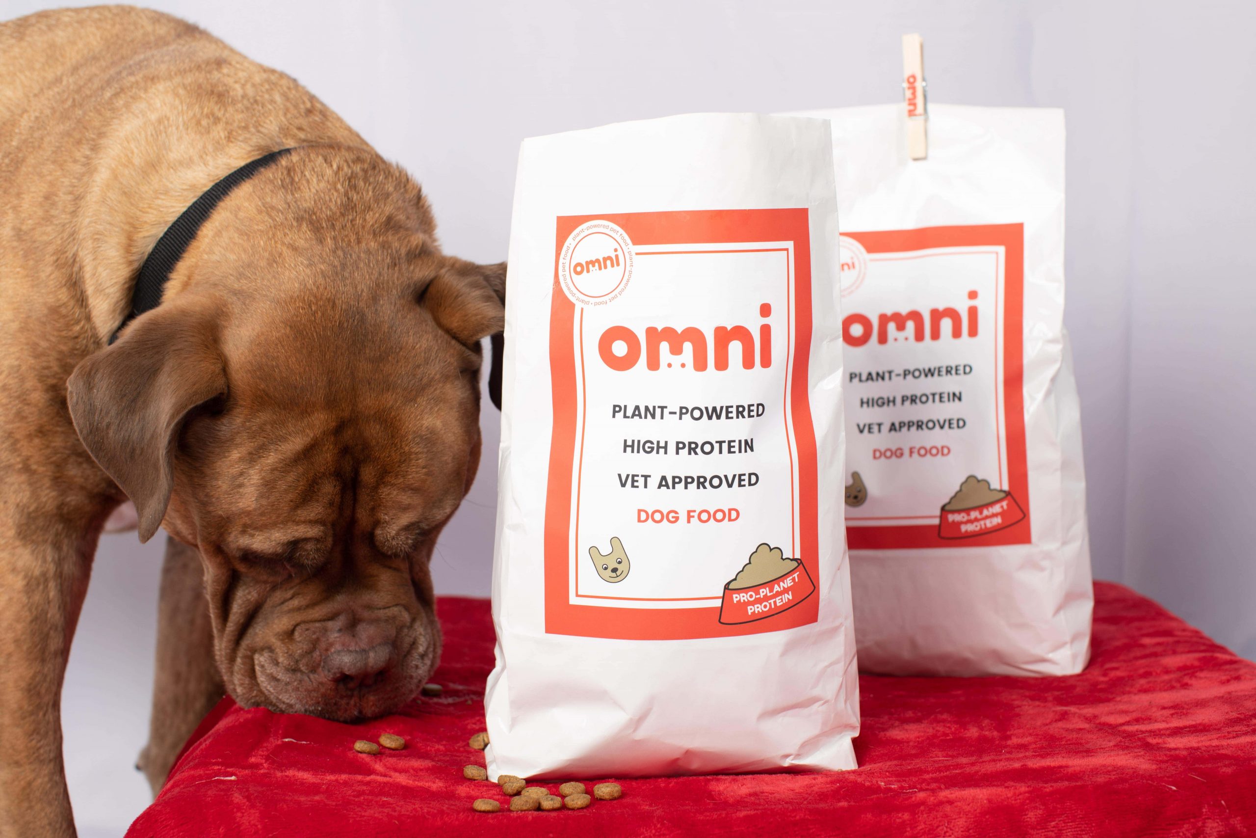 Omni: elevating vegan pet food with plant