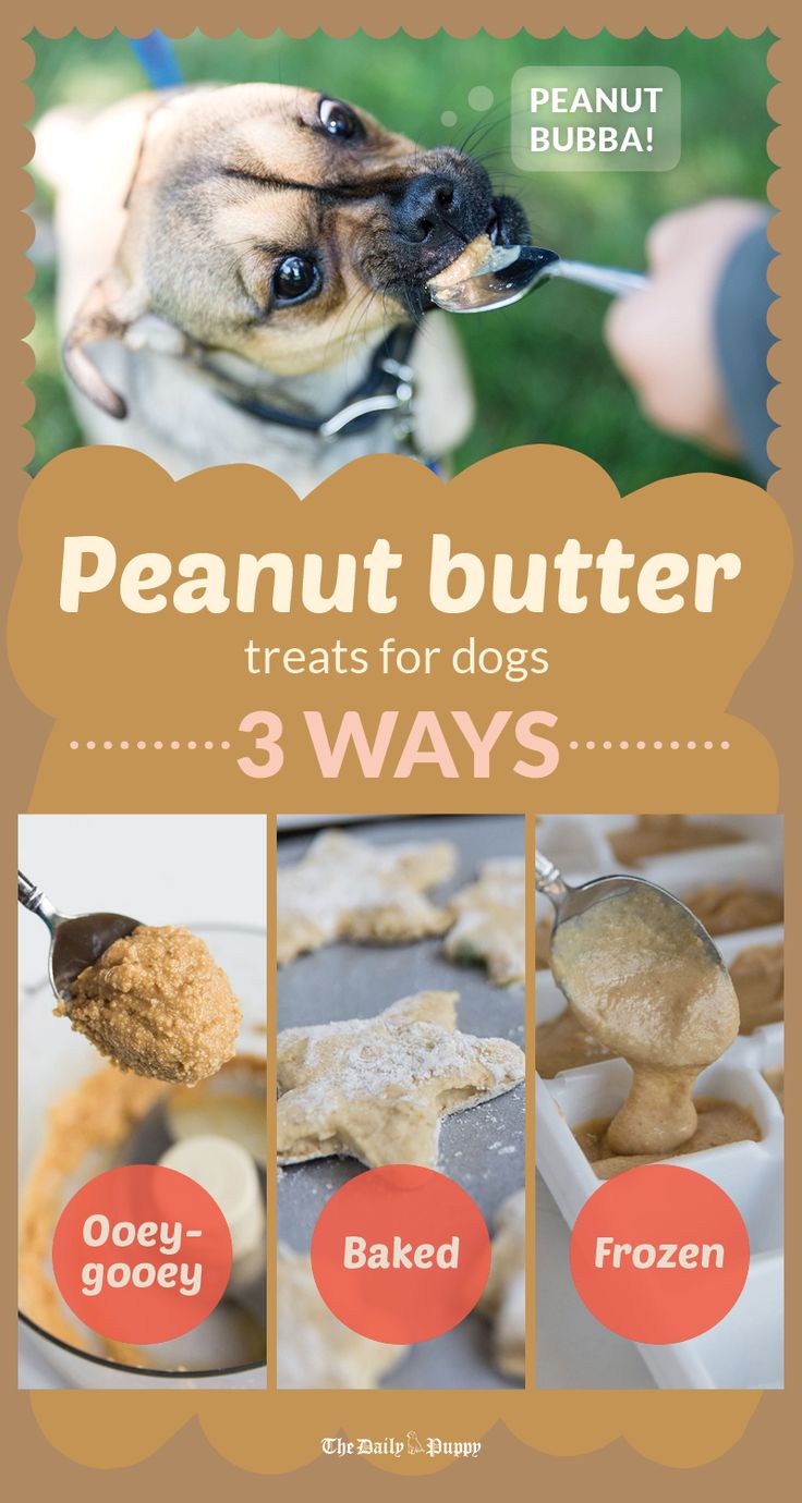 Our canine companions love peanut butter, a dog