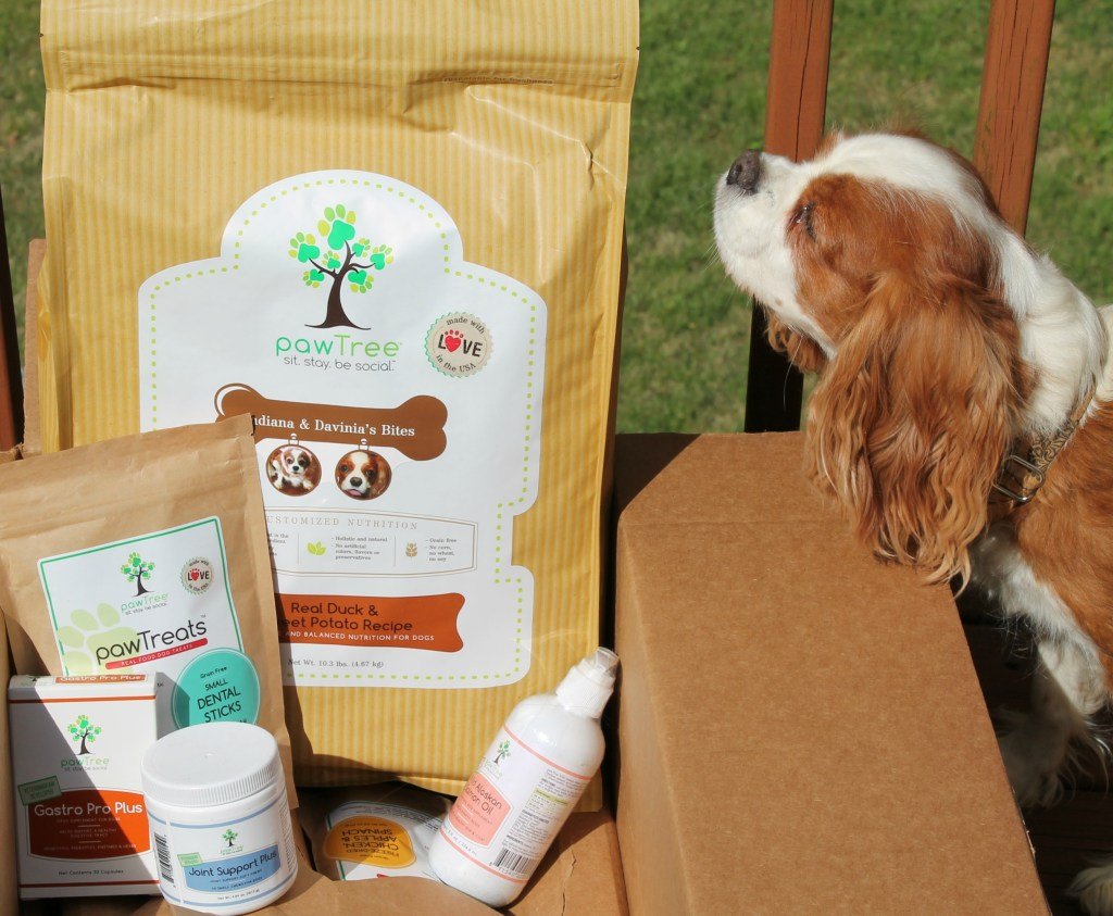 pawTree Customized Dog Food Just Got Even Better