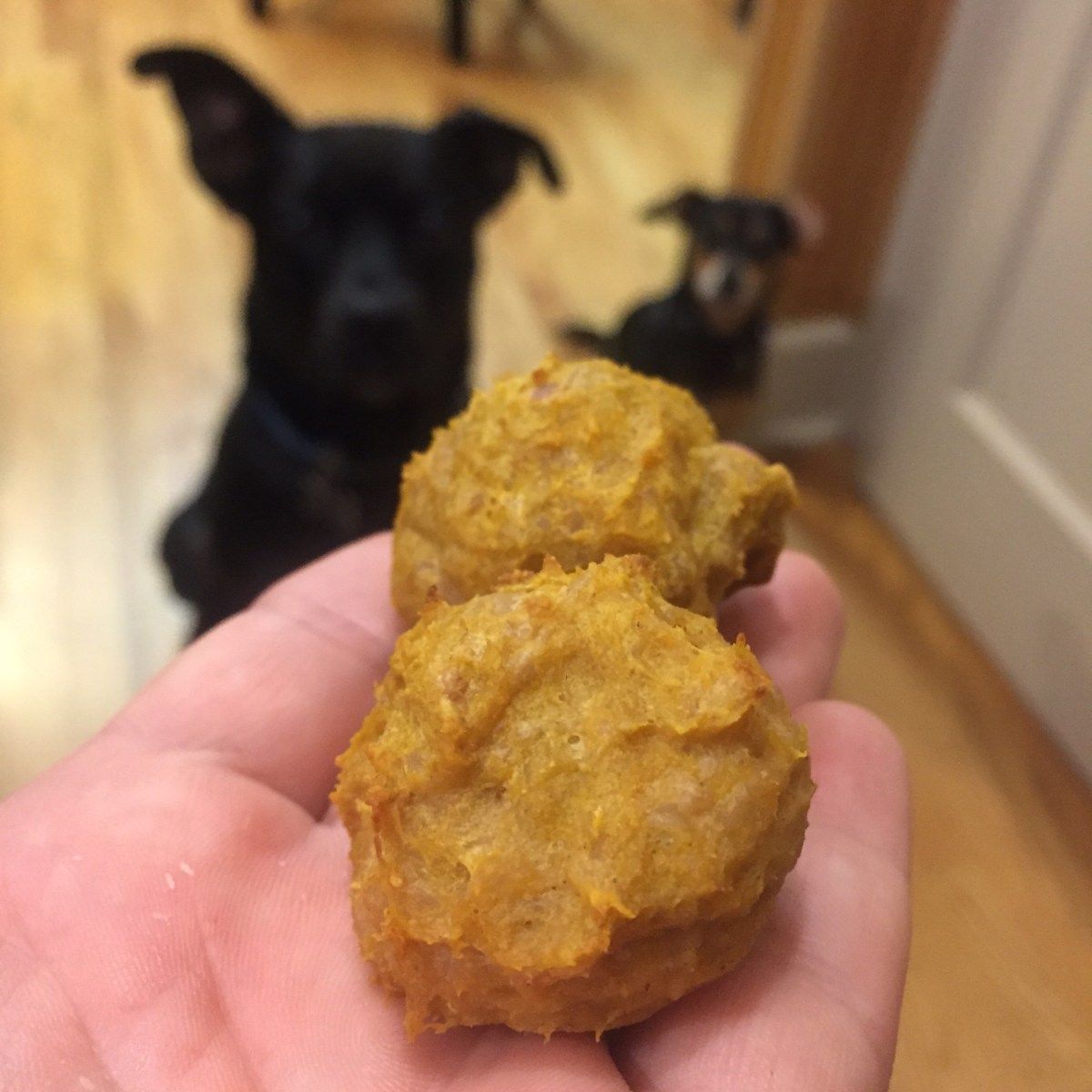 Pumpkin Chicken Oat Meatballs Dog Training Treats