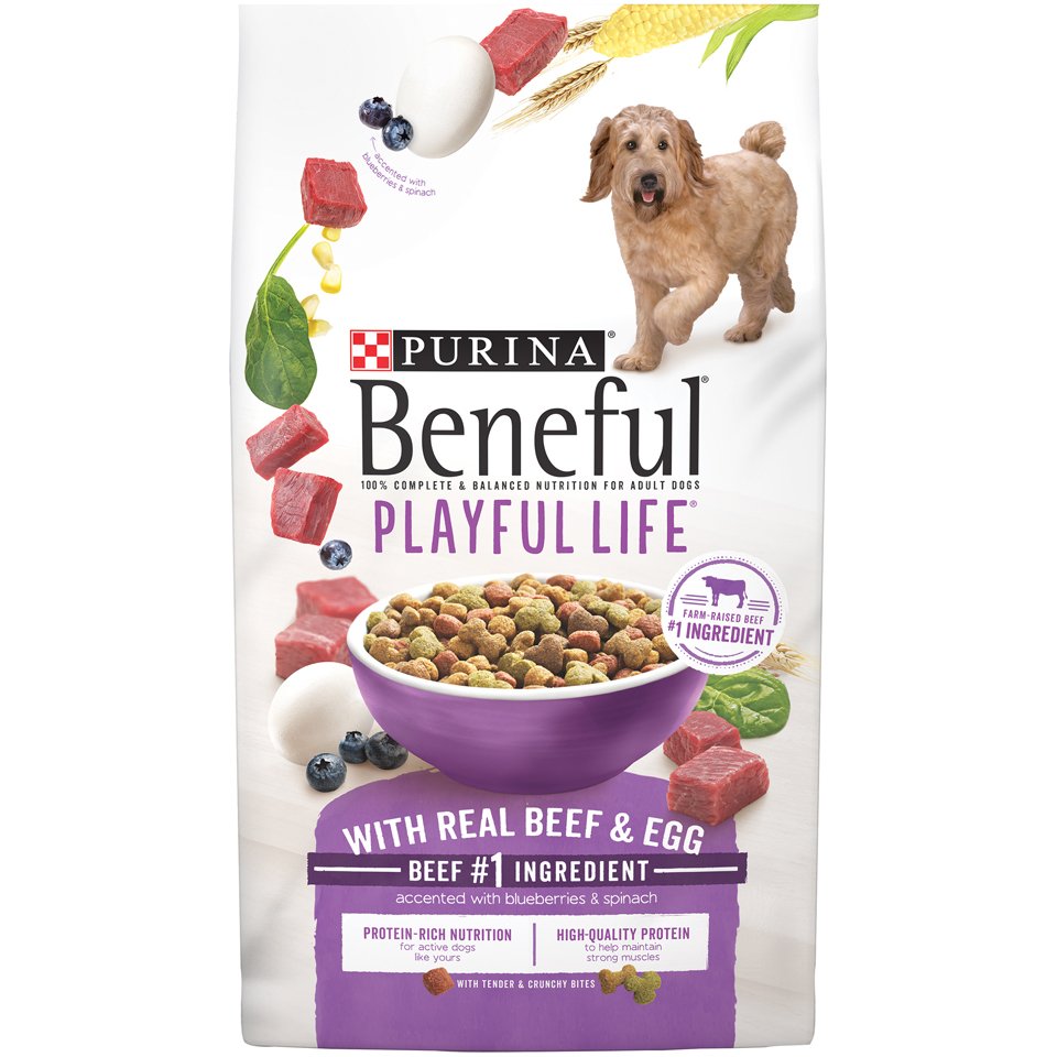 Purina Beneful Dry Dog Food, Playful Life With Real Beef ...