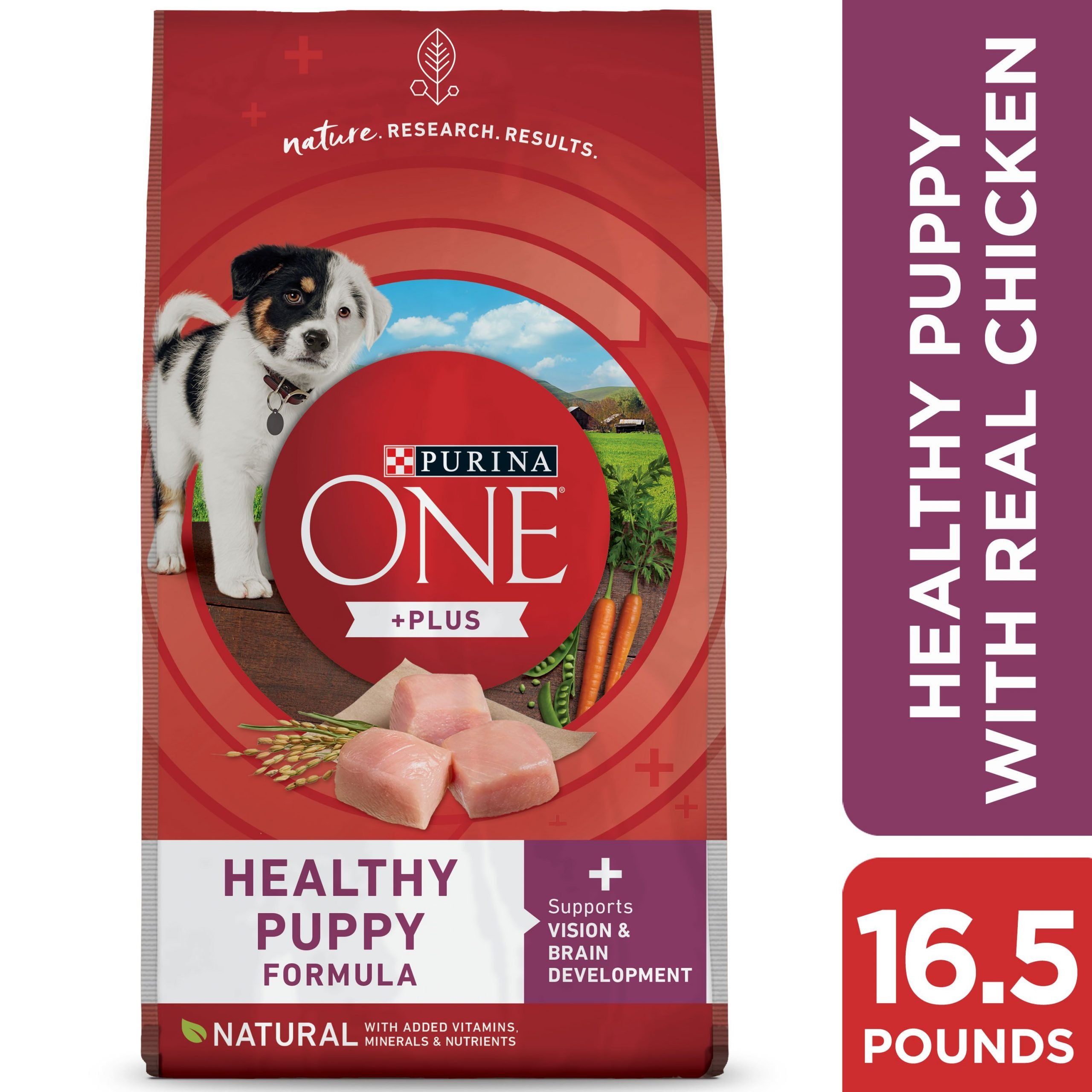 Purina ONE Natural, High Protein Dry Puppy Food, +Plus Healthy Puppy ...