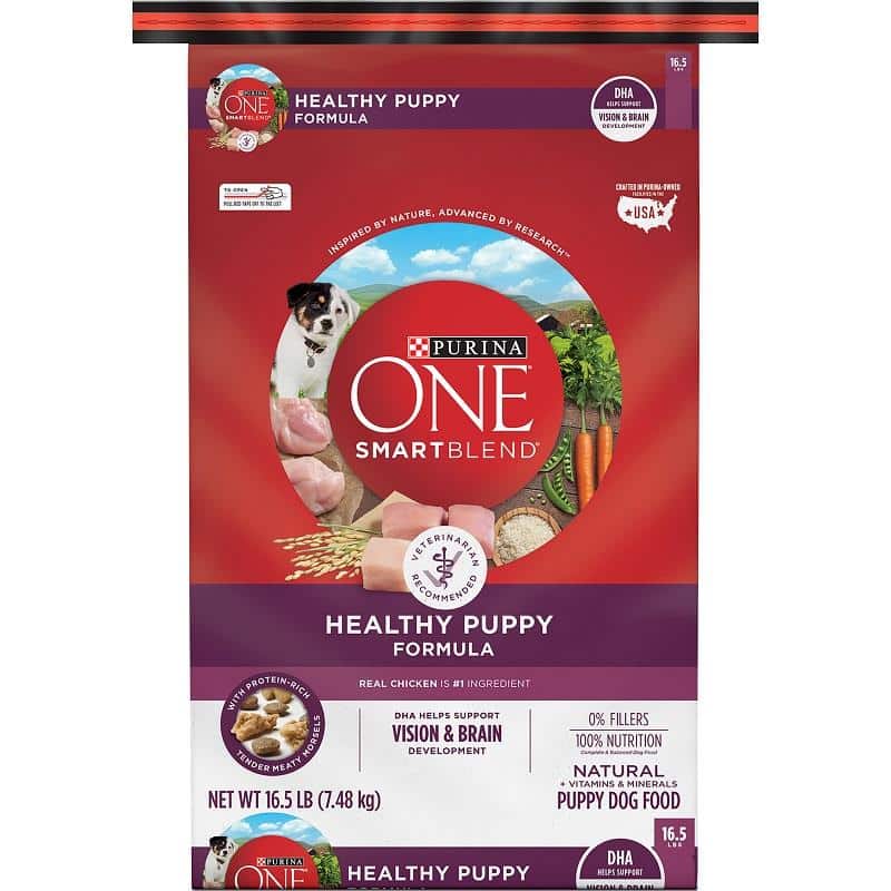 Purina ONE SmartBlend Healthy Puppy Chicken Recipe Dry Dog Food, 16.5 lbs