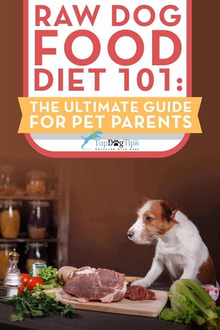 Raw Diet for Dogs 101: The Ultimate Guide â Top Dog Tips ...