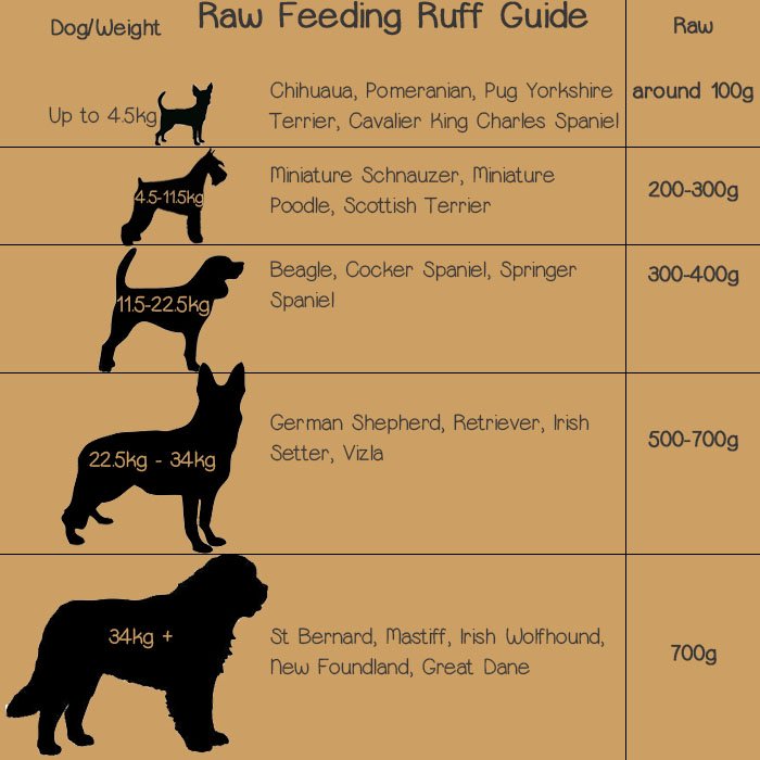 Raw Feeding Guide
