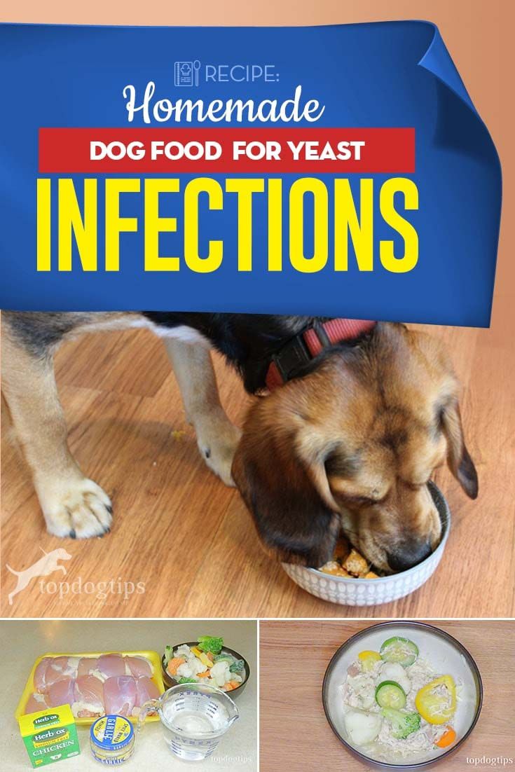 Recipe: Homemade Dog Food for Yeast Infections