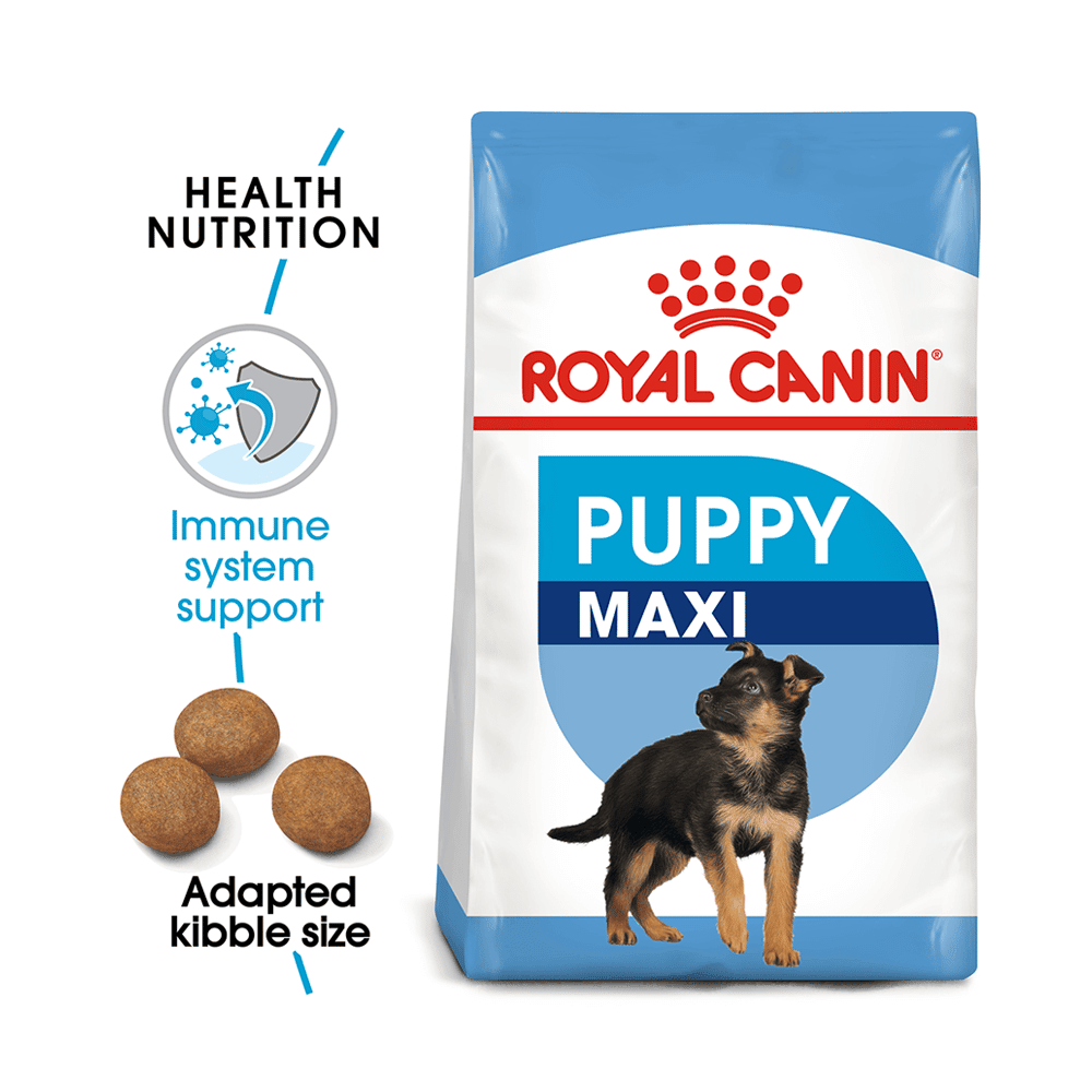Royal Canin Maxi Junior (Large Breed Puppy)