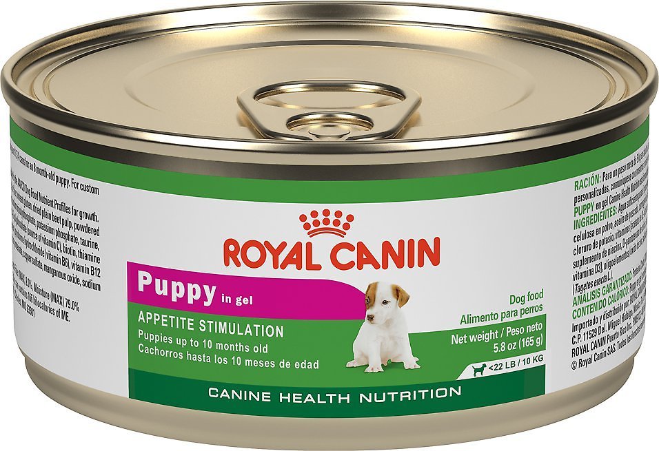 Royal Canin Puppy Appetite Stimulation Canned Dog Food, 5.8