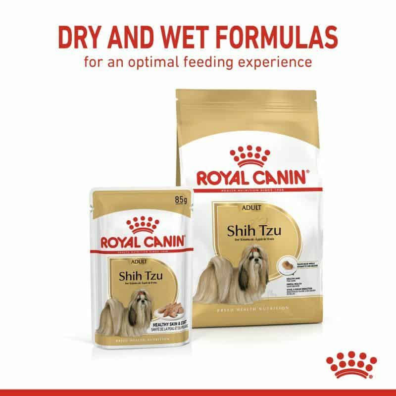 Royal Canin Shih Tzu Adult Wet Dog Food