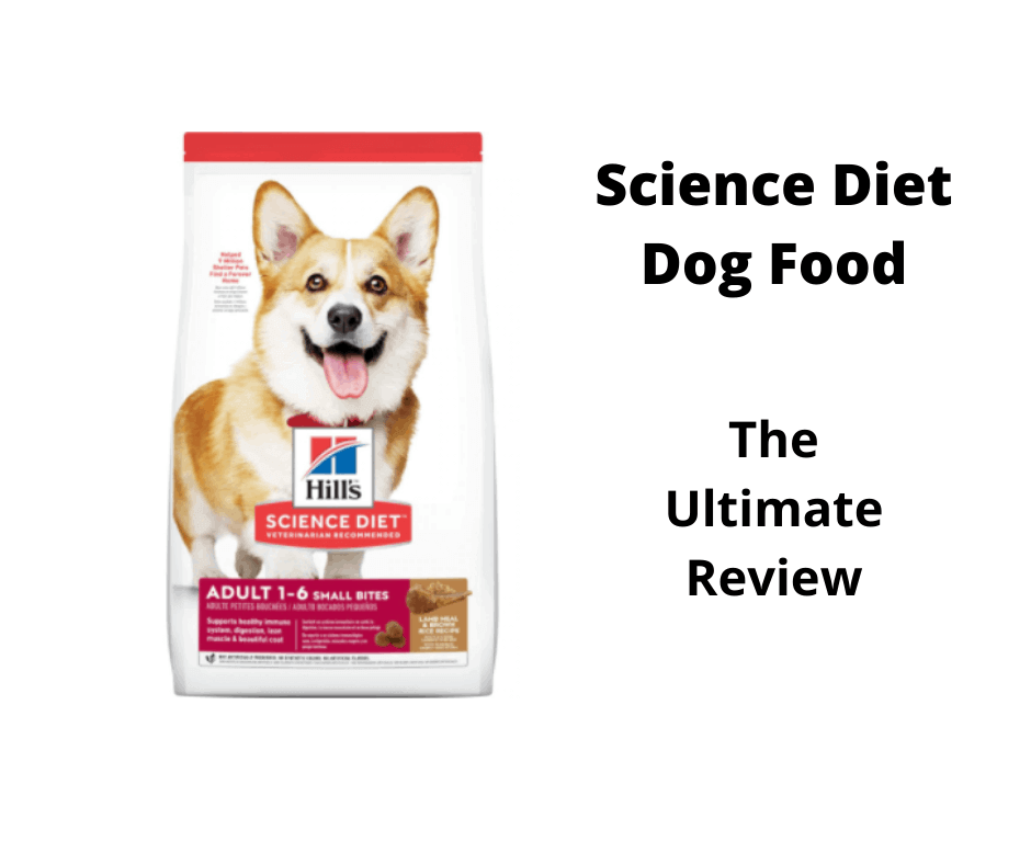 Science Diet Dog Food Review (2022 Edition)