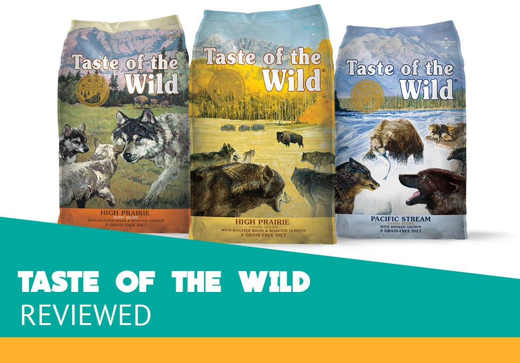 Taste of the Wild Dog Food Review (Dry)