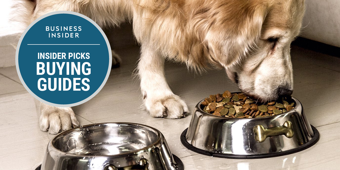 The best dog food bowls you can buy