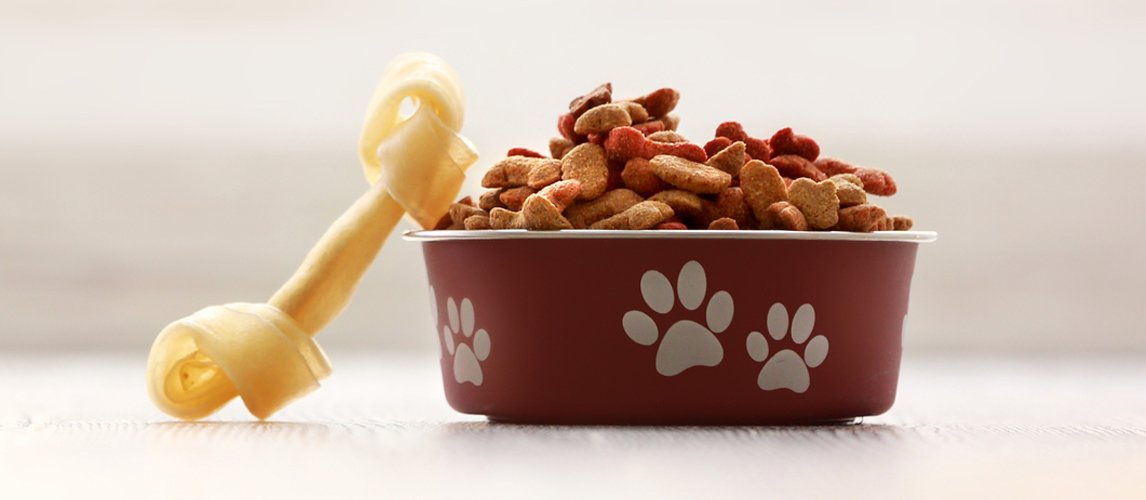The Best Dry Dog Food (Review) In 2021
