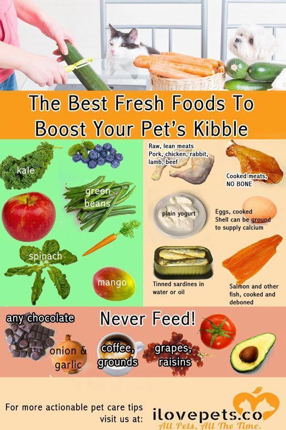 The best, most nutritious fresh foods to add to #cat or # ...