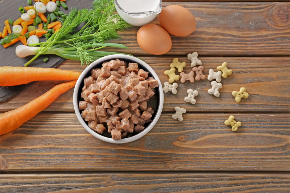 The Best Natural Dog Food 2019 (10 Top Foods Without Fillers)