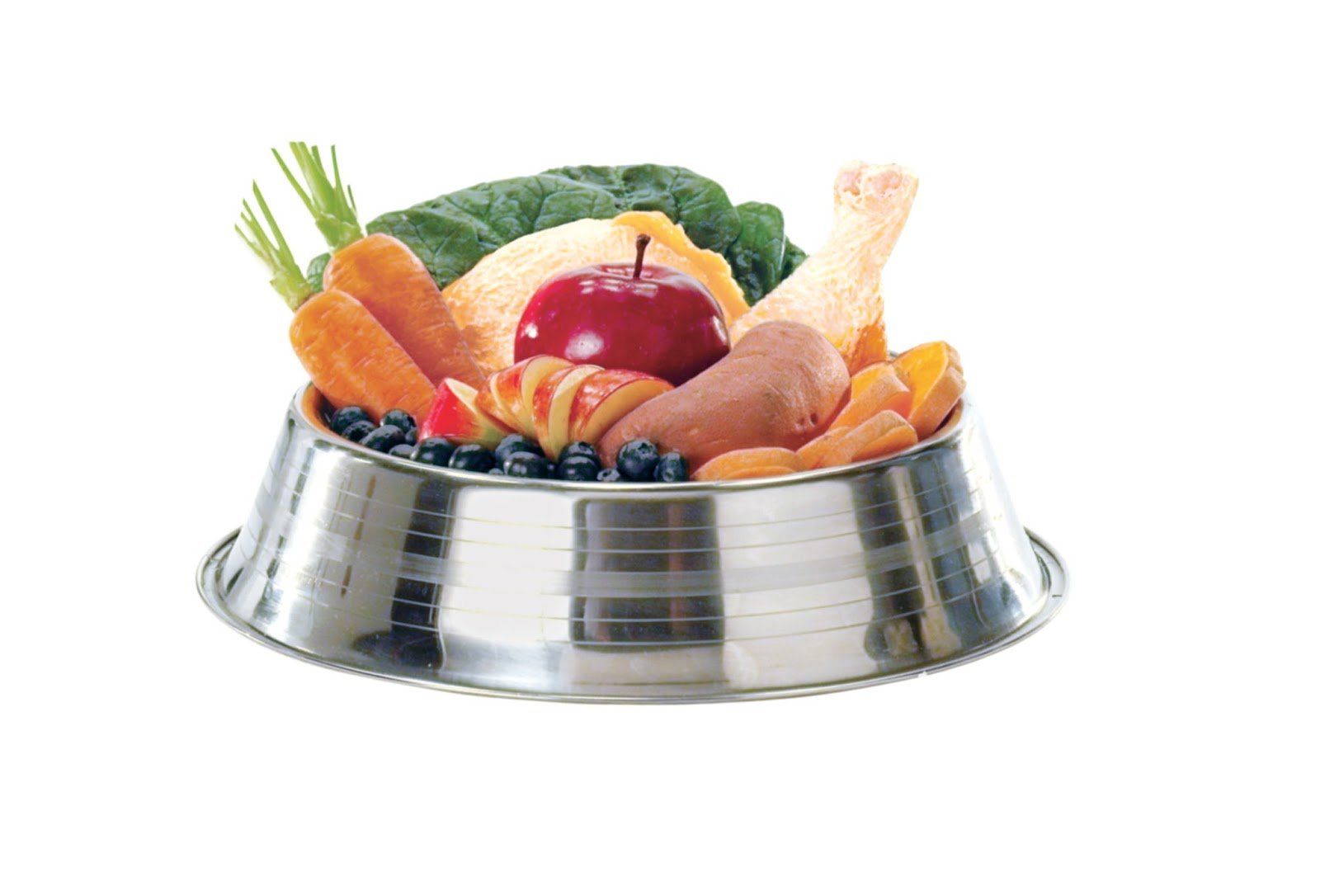 Tips On How To Make a Healthy Dog Food