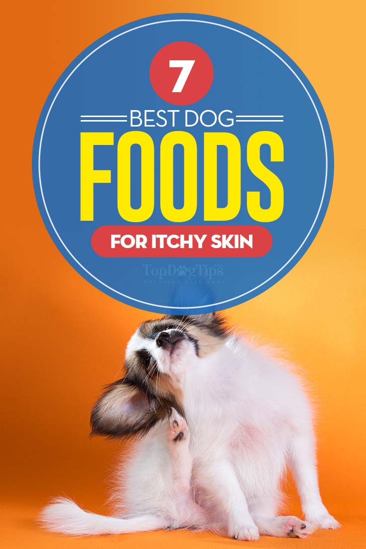 Top 7 Best Dog Food for Itchy Skin Brands in 2018 (with ...